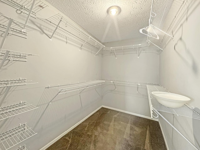 spacious closet featuring carpet flooring