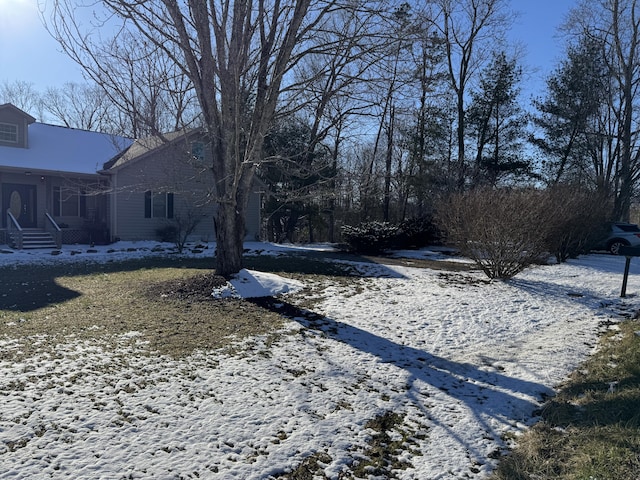 view of yard layered in snow