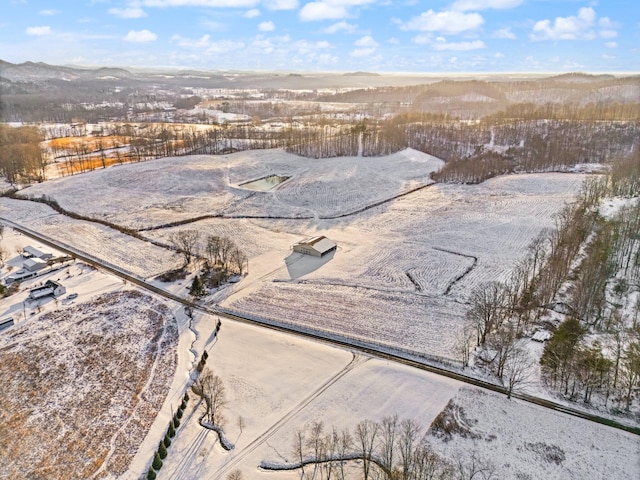 view of snowy aerial view