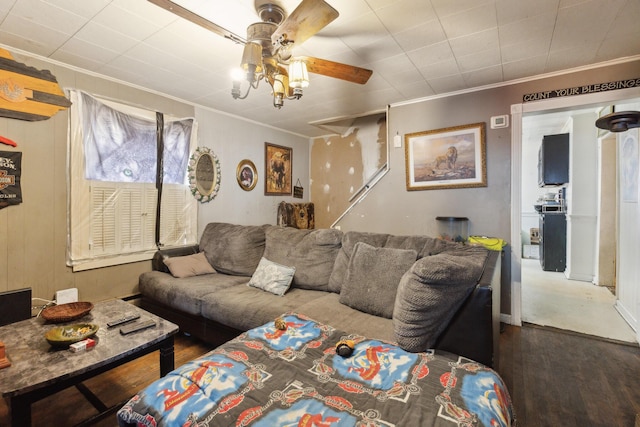 living room featuring ceiling fan, crown molding, and wood finished floors