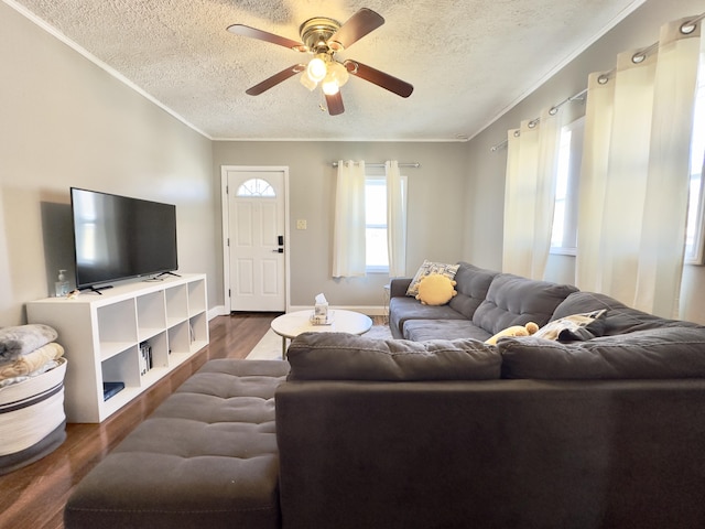 living room with a ceiling fan, a textured ceiling, ornamental molding, and dark wood-type flooring