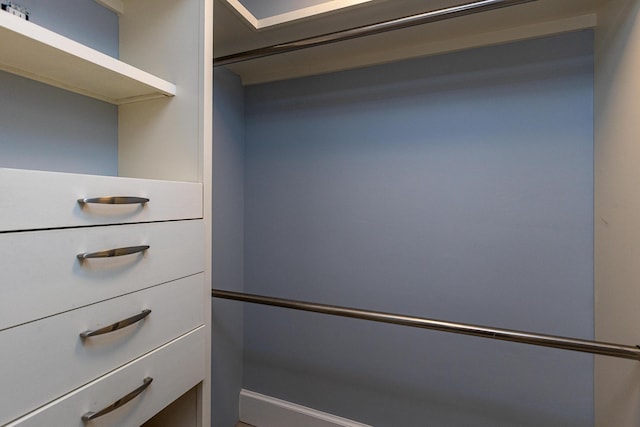 view of spacious closet