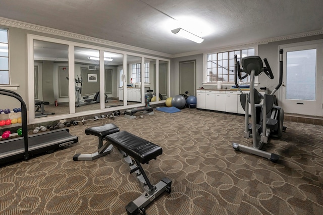 interior space featuring carpet and crown molding