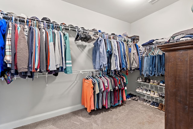 spacious closet featuring carpet and visible vents