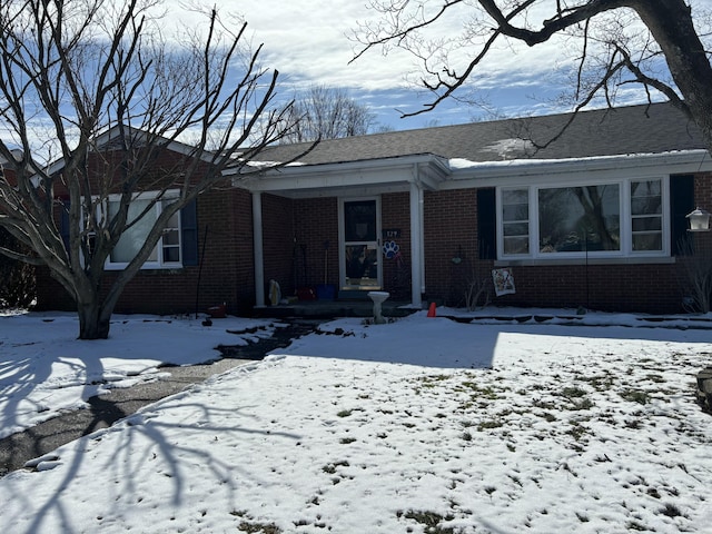 view of front facade featuring brick siding