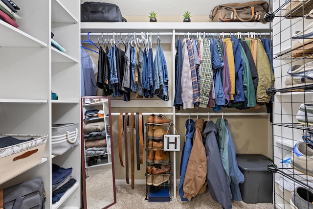 walk in closet featuring carpet floors