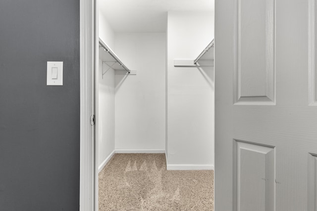 walk in closet featuring light colored carpet