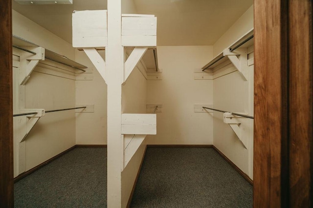 spacious closet featuring dark carpet