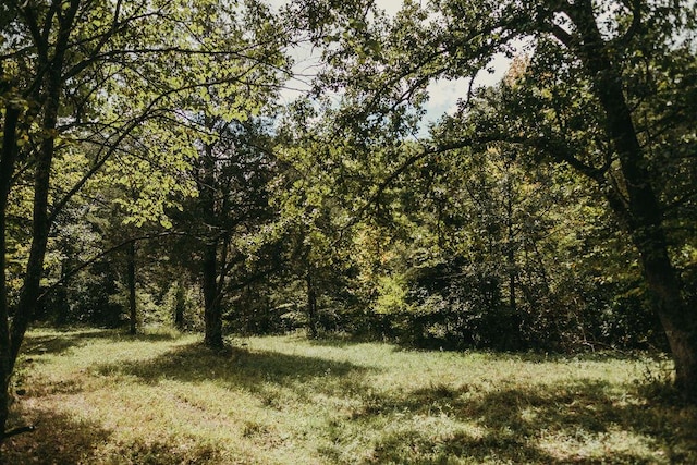 view of landscape