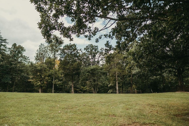 view of local wilderness