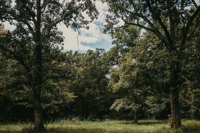 view of landscape with a wooded view