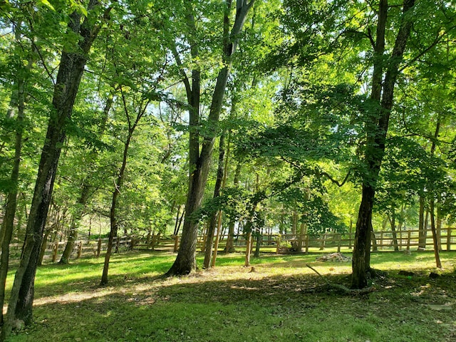 view of local wilderness