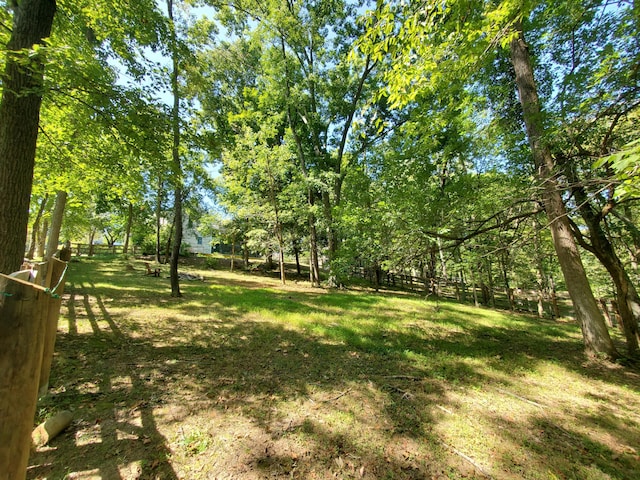 view of yard featuring fence