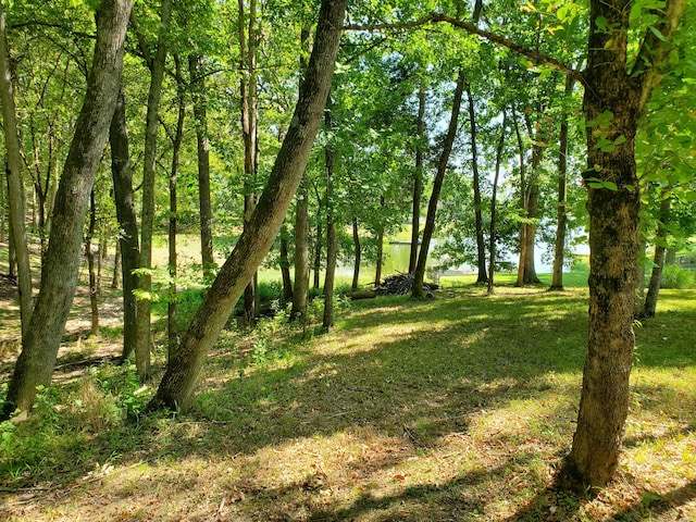 view of landscape