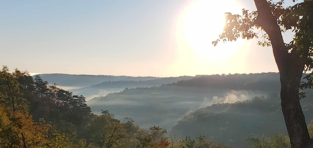 view of mountain feature