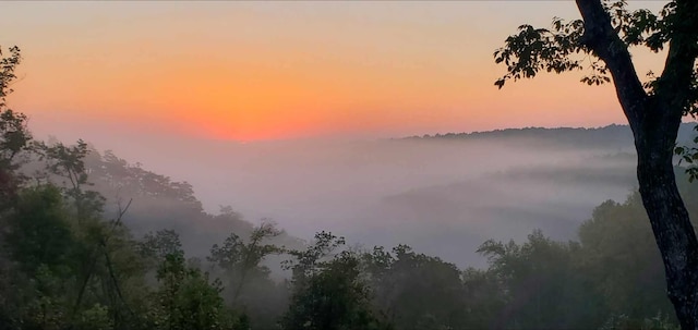 view of nature at dusk