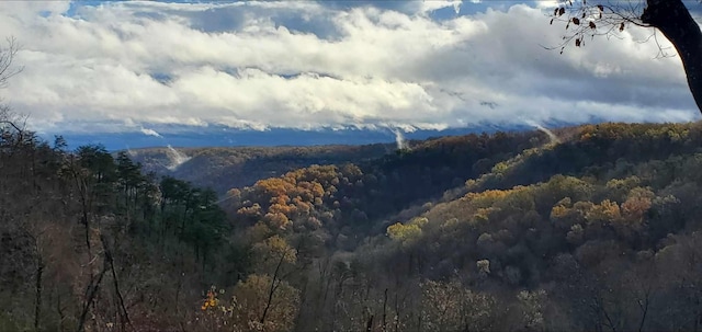 mountain view featuring a forest view