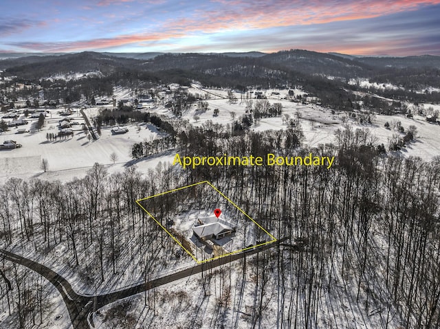 snowy aerial view with a mountain view