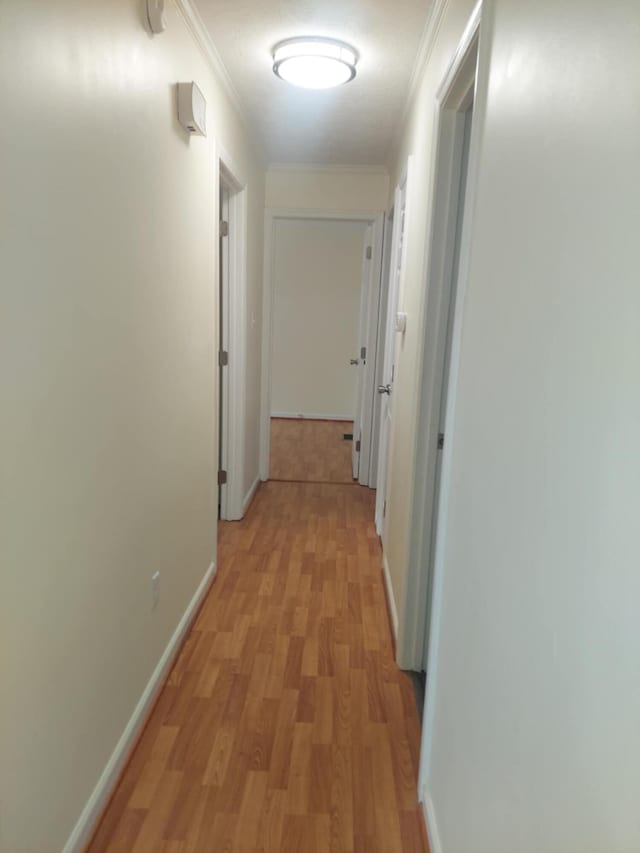 hall with baseboards, light wood finished floors, and crown molding