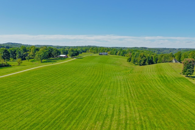 bird's eye view