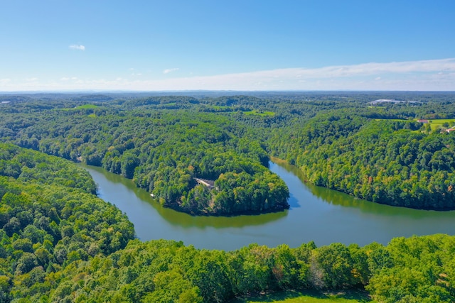 bird's eye view featuring a water view and a forest view