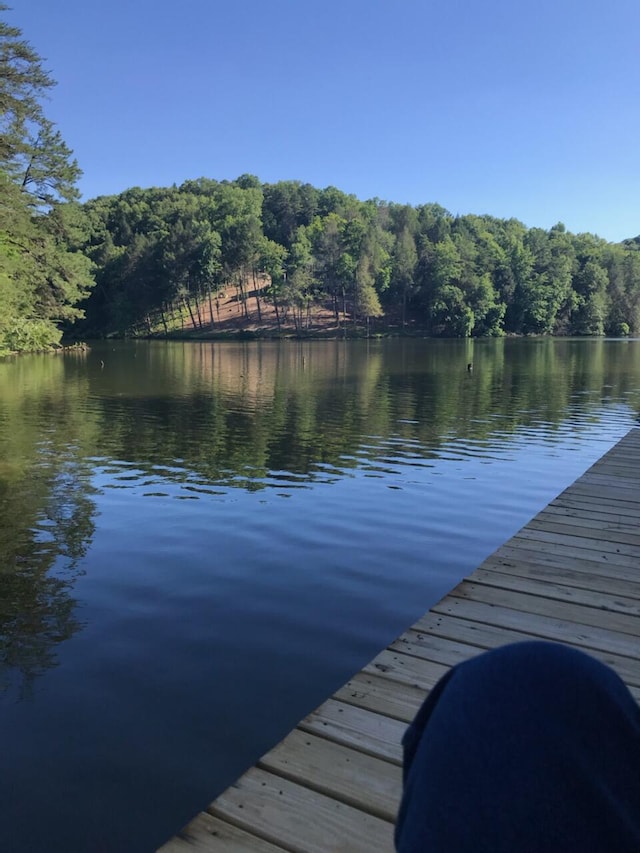 view of dock featuring a water view and a wooded view