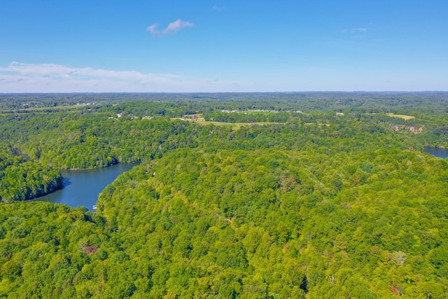 aerial view with a water view and a view of trees