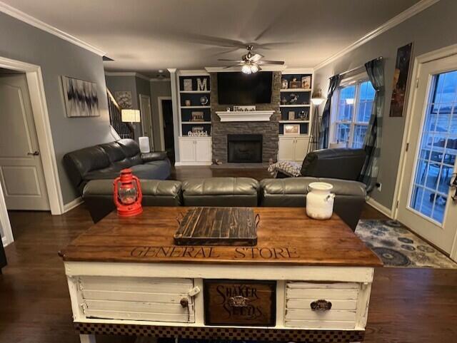 living room featuring ceiling fan, a fireplace, dark wood-style flooring, and crown molding