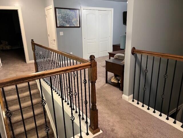 stairs with carpet flooring