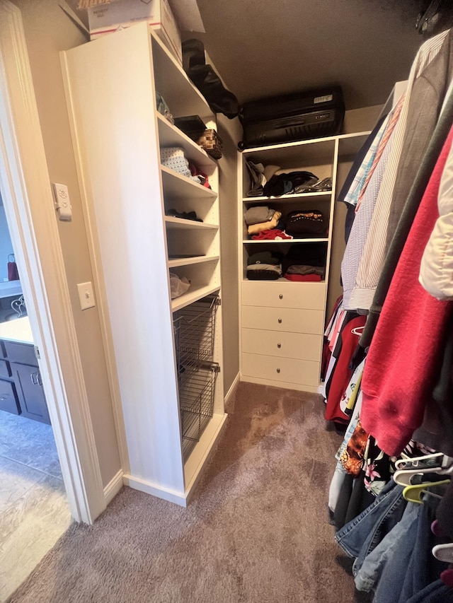 walk in closet featuring carpet floors