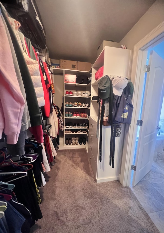 spacious closet with carpet flooring