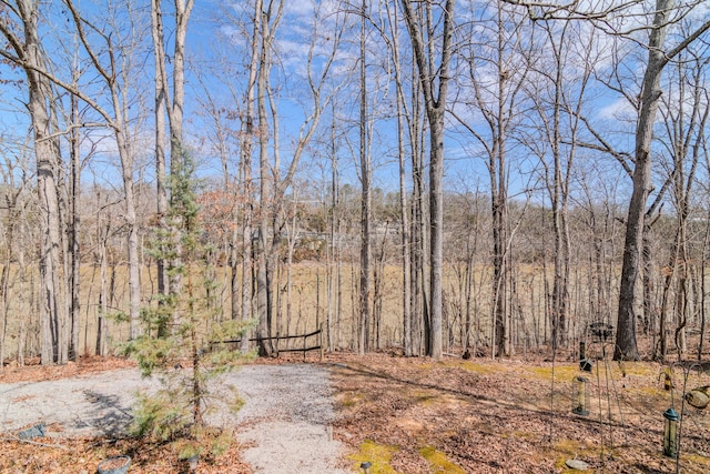 view of local wilderness featuring a wooded view