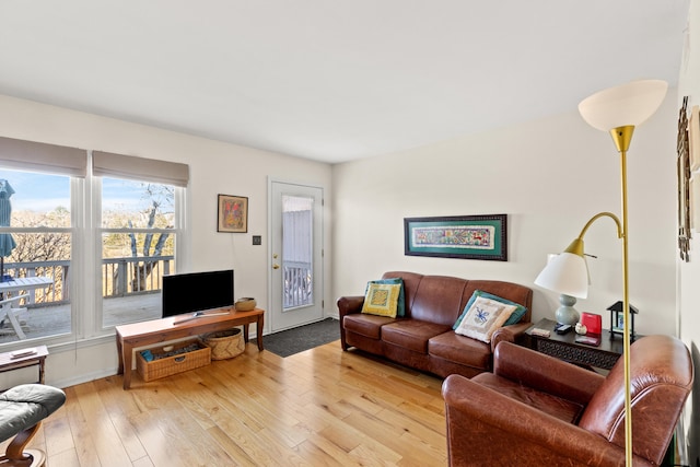 living area featuring light wood finished floors