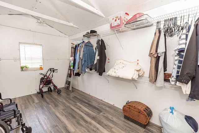 walk in closet featuring lofted ceiling and wood finished floors