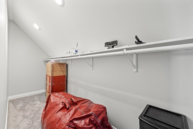 spacious closet featuring lofted ceiling and carpet flooring