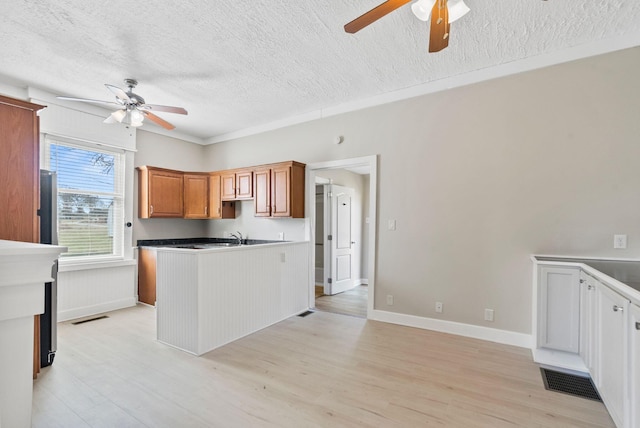 kitchen featuring light wood-style floors, ceiling fan, and visible vents