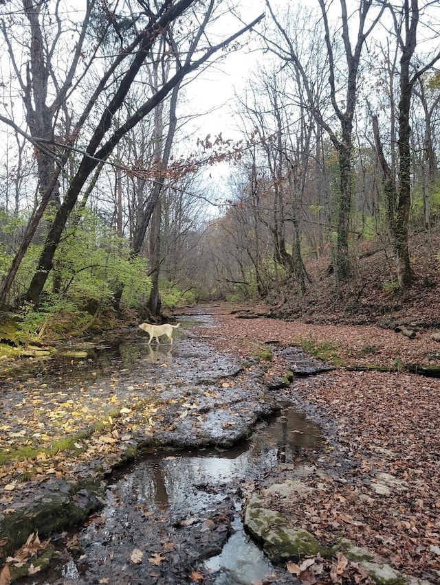 view of landscape featuring a forest view