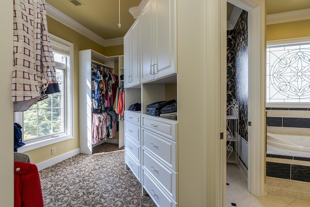 view of spacious closet