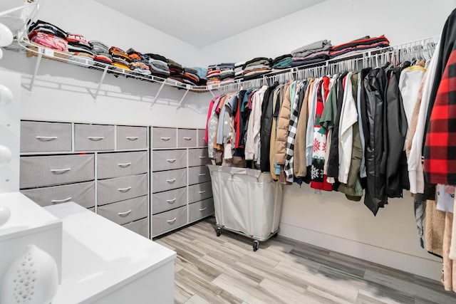 spacious closet featuring wood finished floors