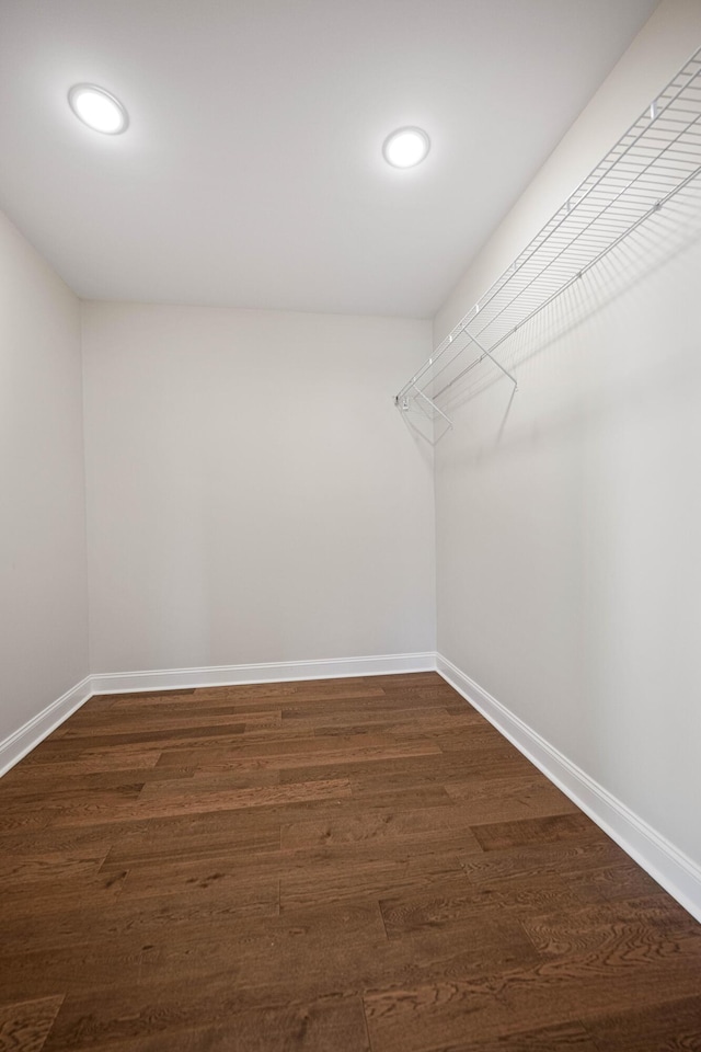 walk in closet featuring dark wood finished floors