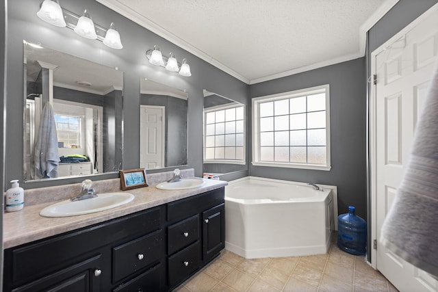 bathroom with ornamental molding, plenty of natural light, and a sink