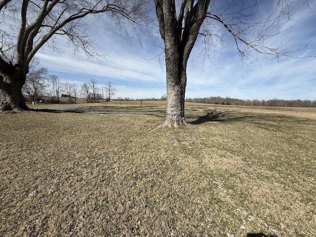 view of yard with a rural view