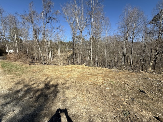 view of landscape featuring a wooded view