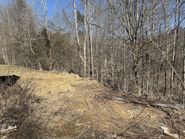 view of nature featuring a forest view