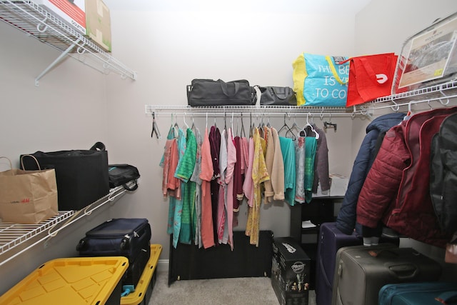 walk in closet with carpet flooring