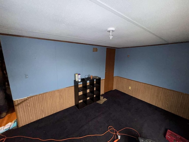 finished basement featuring carpet, wainscoting, wood walls, and a textured ceiling