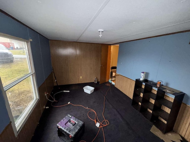 spare room with dark colored carpet and wood walls