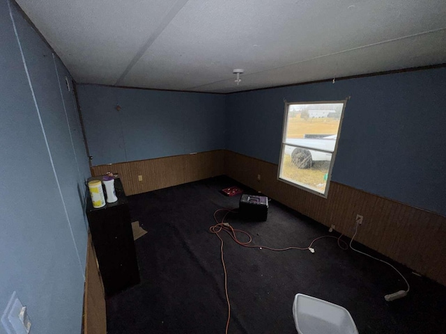 empty room featuring carpet, wood walls, and wainscoting