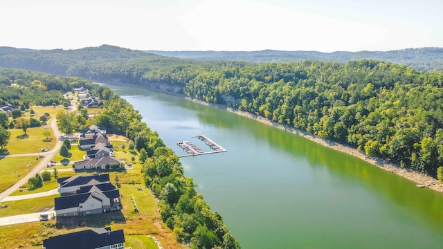 aerial view with a water view and a view of trees