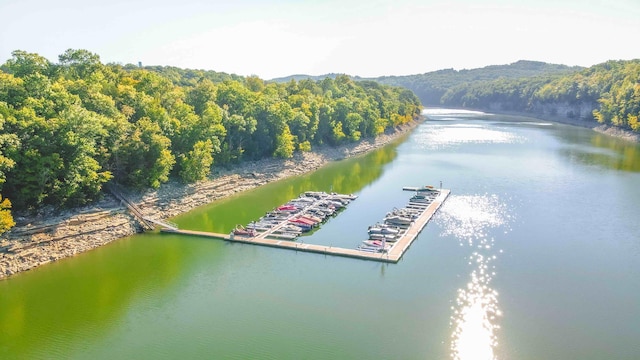 birds eye view of property featuring a water view and a wooded view